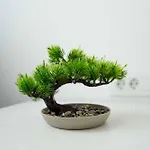 Sunny 2-bedroom With Sea View *